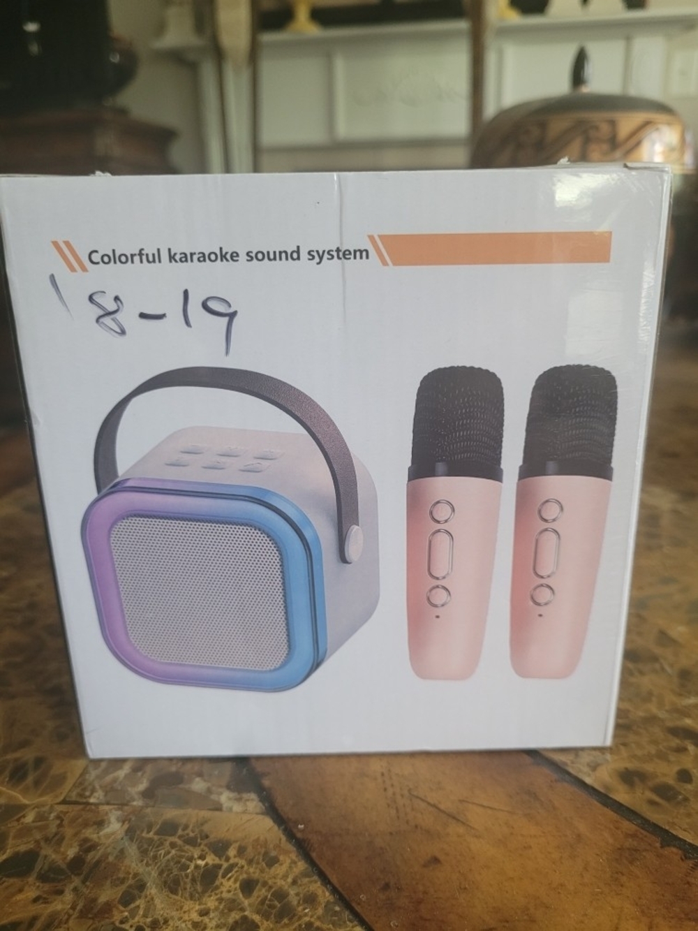 Portable Colorful Karaoke Sound System with Pink Microphones
